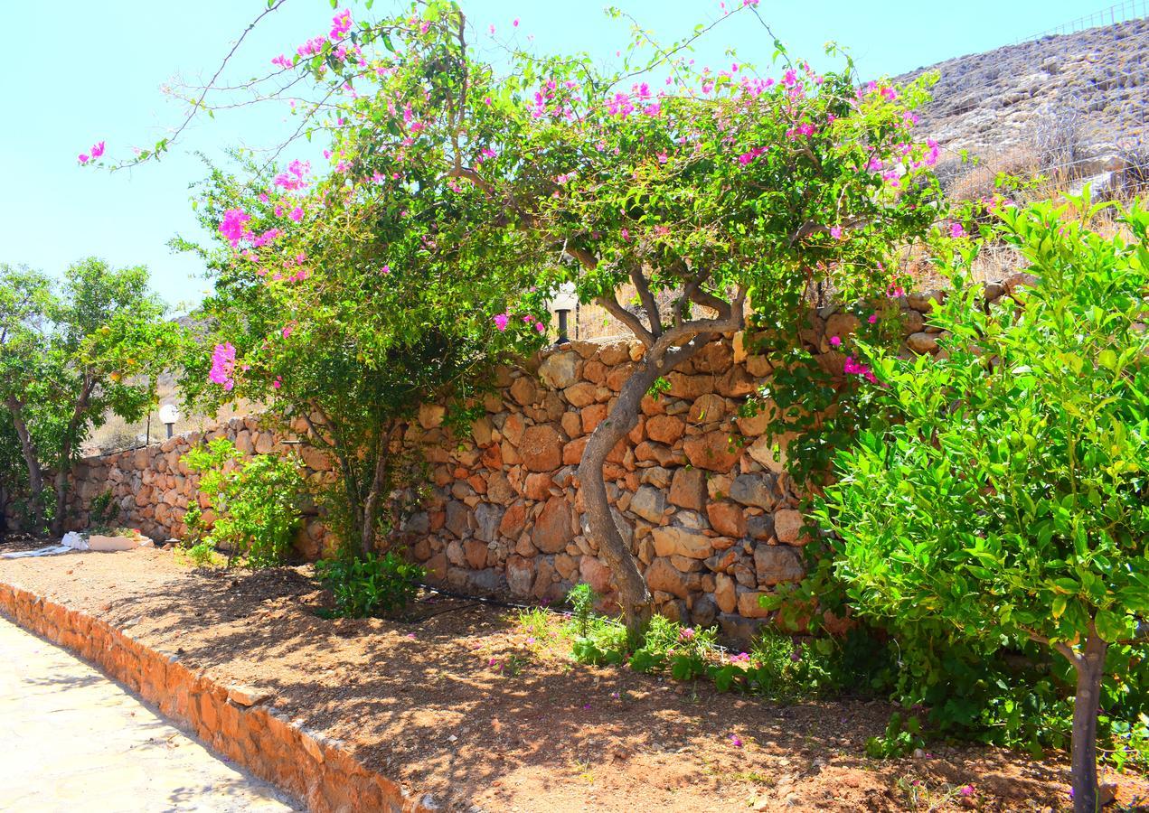Asteras Apartments Xerokampos  Exterior foto